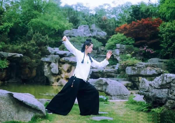 太极拳 易筋经