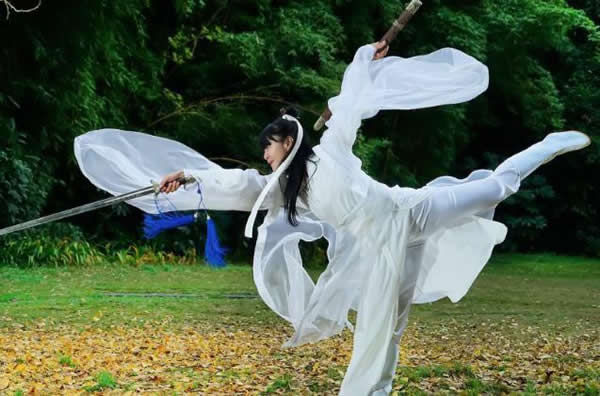 太极拳 易筋经