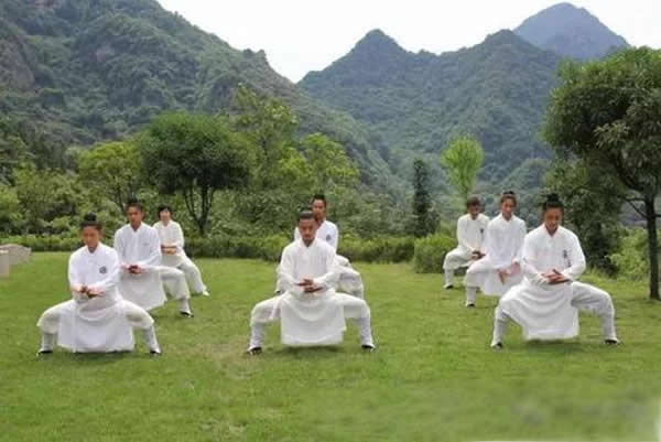 太极拳 易筋经