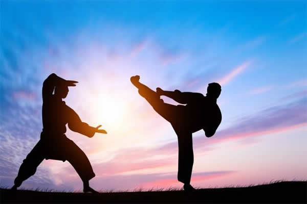 太极拳 易筋经