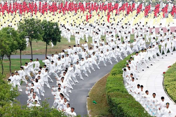太极拳 易筋经