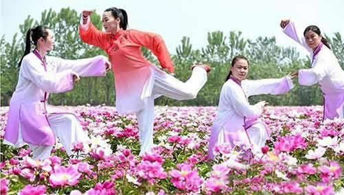 胎息 胎息经