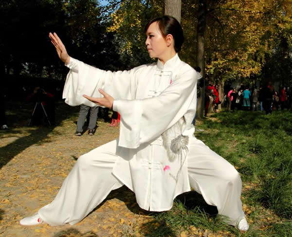 形意拳 易筋经