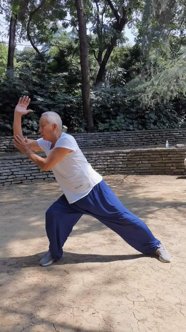 心意把 易筋经