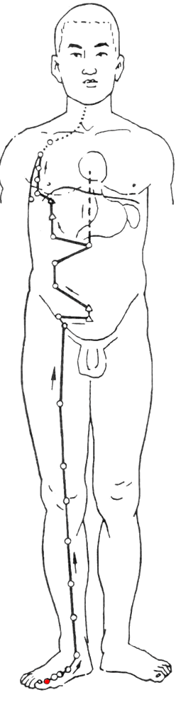 养生课 养生