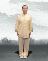 养生课 养生