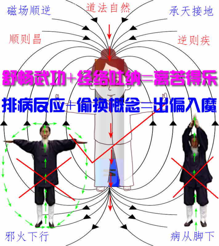 养生课 养生