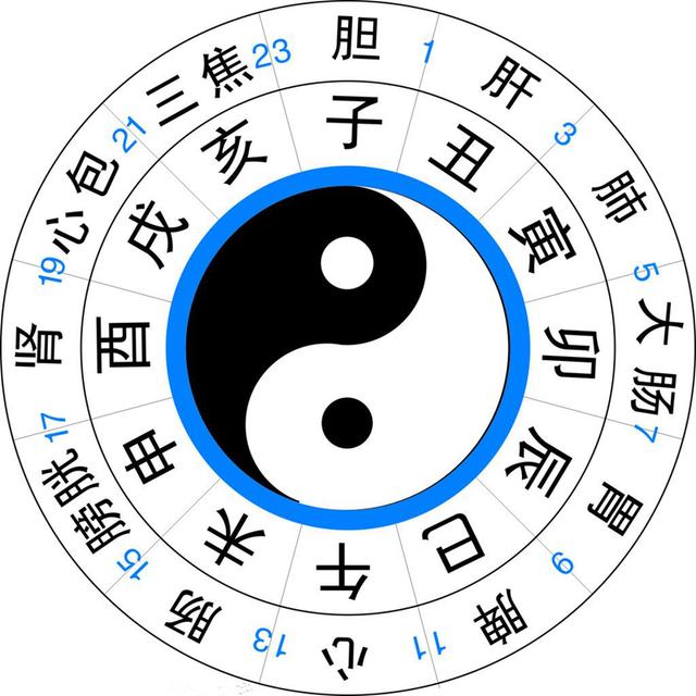 养生课 养生