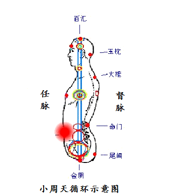 养生课 养生